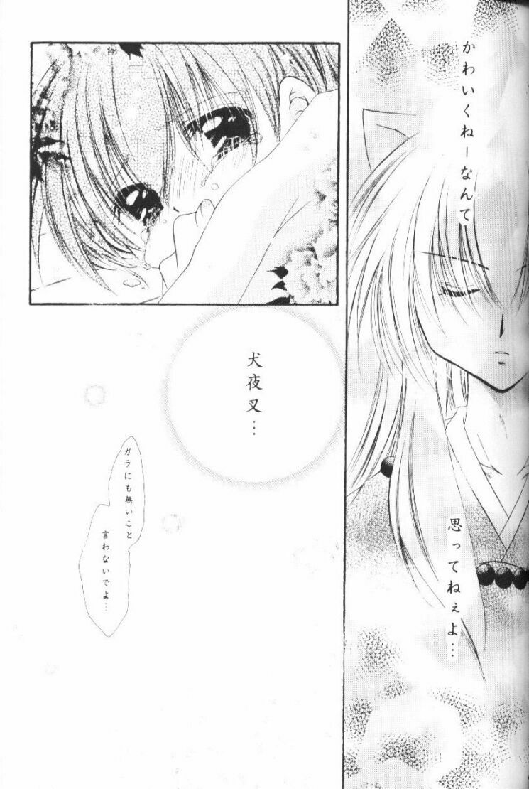 (CR33) [Sakurakan (Seriou Sakura)] Hoshikuzu Drop (Inuyasha) page 38 full