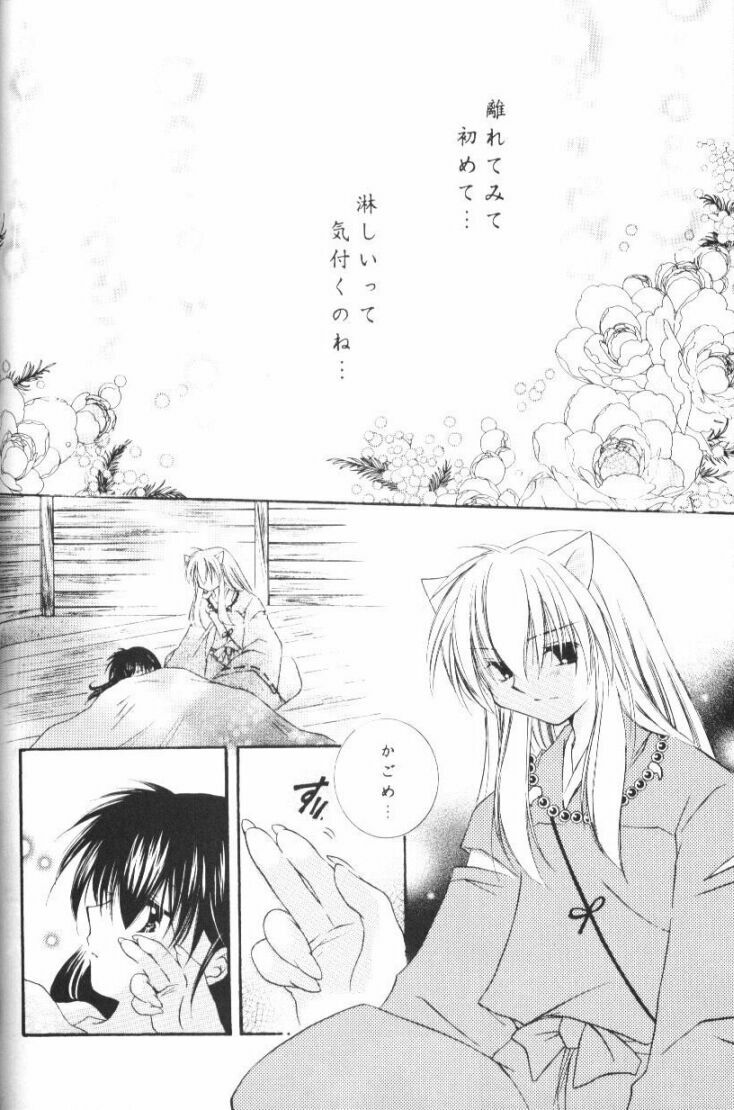 (CR33) [Sakurakan (Seriou Sakura)] Hoshikuzu Drop (Inuyasha) page 47 full