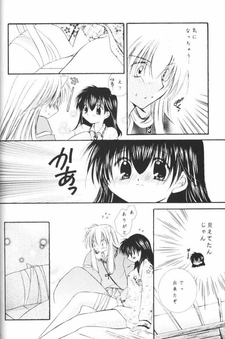 (CR33) [Sakurakan (Seriou Sakura)] Hoshikuzu Drop (Inuyasha) page 53 full