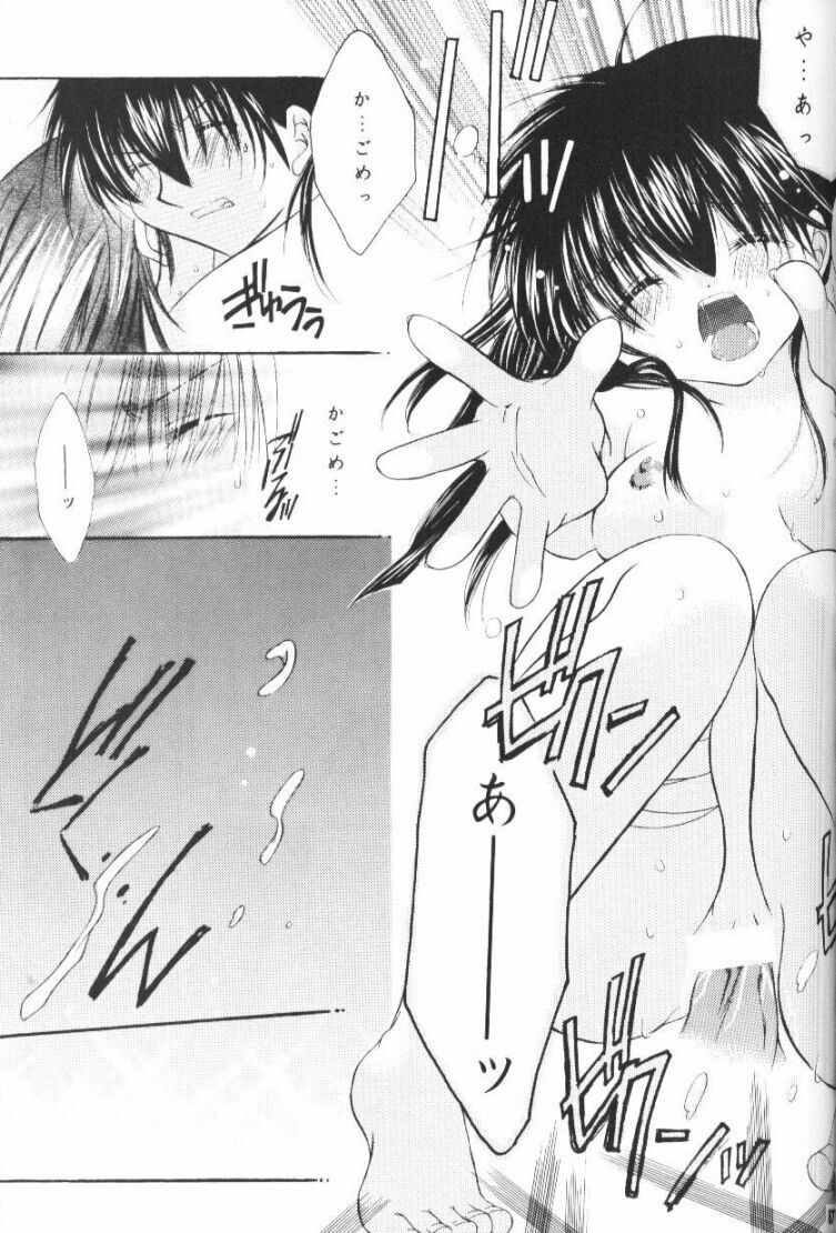 (CR33) [Sakurakan (Seriou Sakura)] Hoshikuzu Drop (Inuyasha) page 84 full