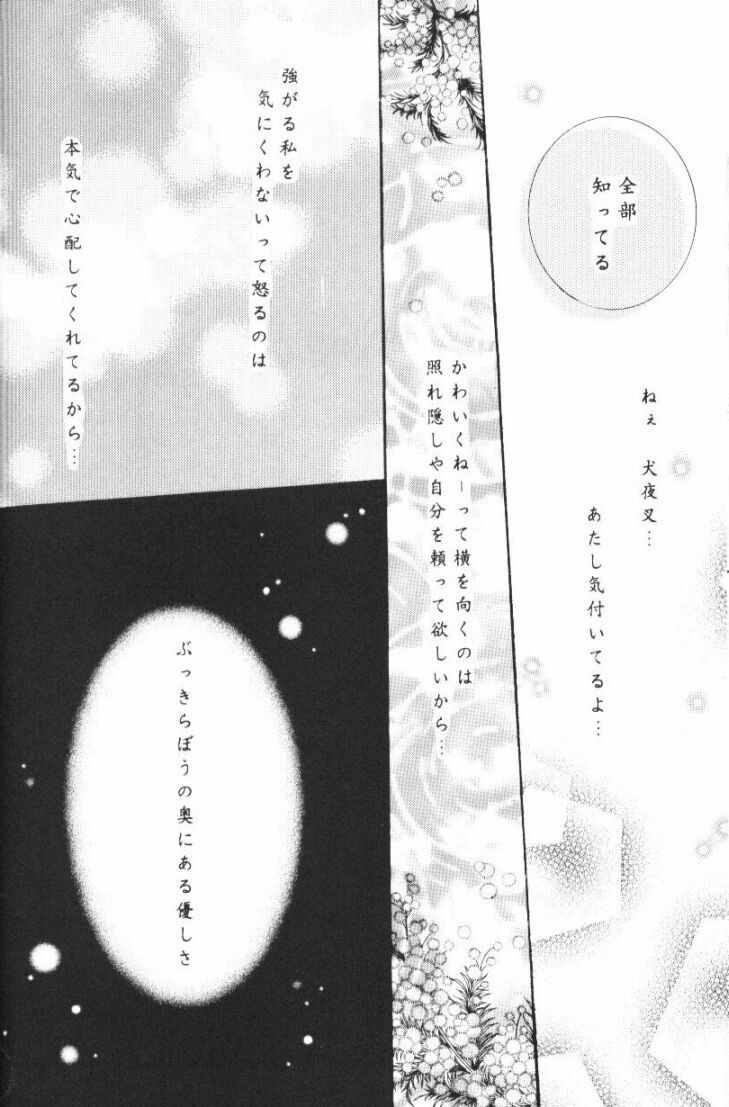 (CR33) [Sakurakan (Seriou Sakura)] Hoshikuzu Drop (Inuyasha) page 89 full