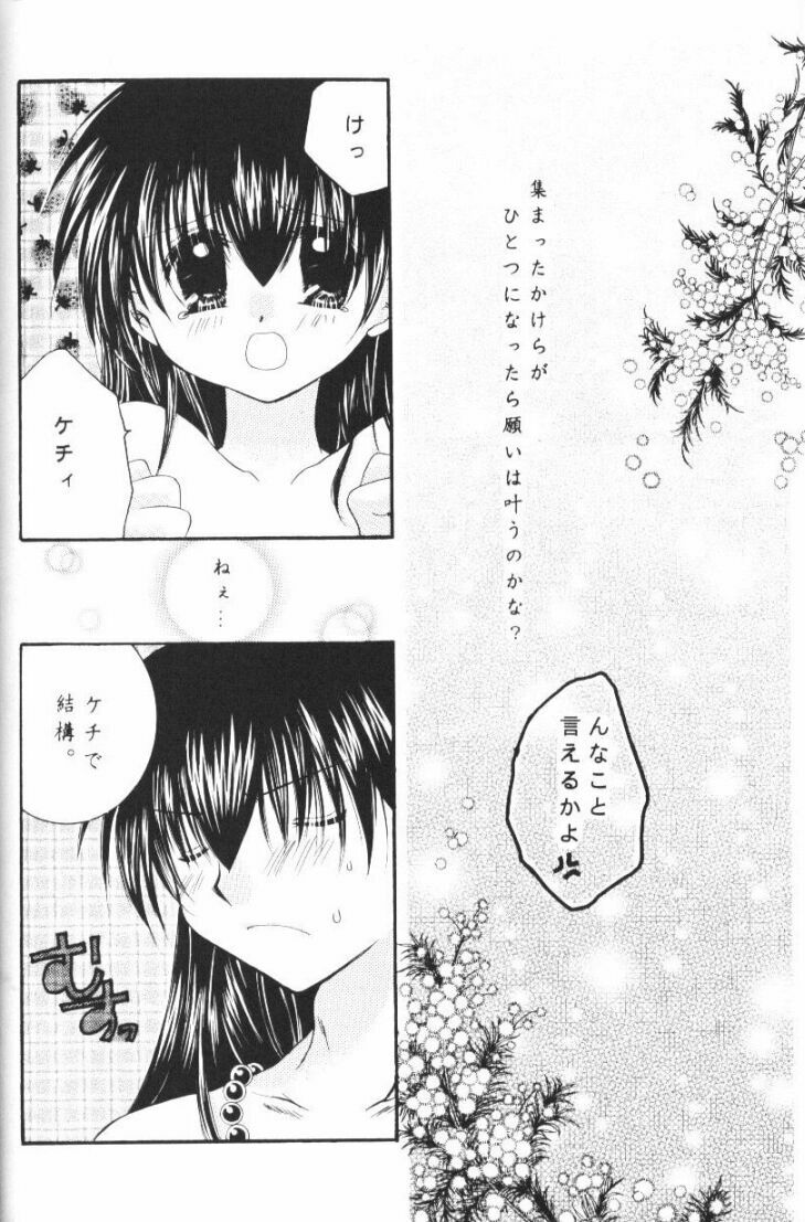 (CR33) [Sakurakan (Seriou Sakura)] Hoshikuzu Drop (Inuyasha) page 93 full