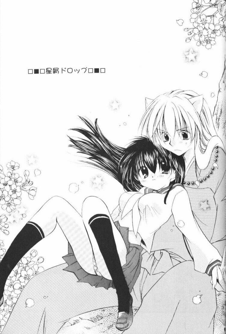 (CR33) [Sakurakan (Seriou Sakura)] Hoshikuzu Drop (Inuyasha) page 96 full