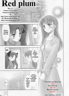 [Shimoyakedou (Ouma Tokiichi)] Red Plum (Fate/stay night) [English] [SaHa] - page 4