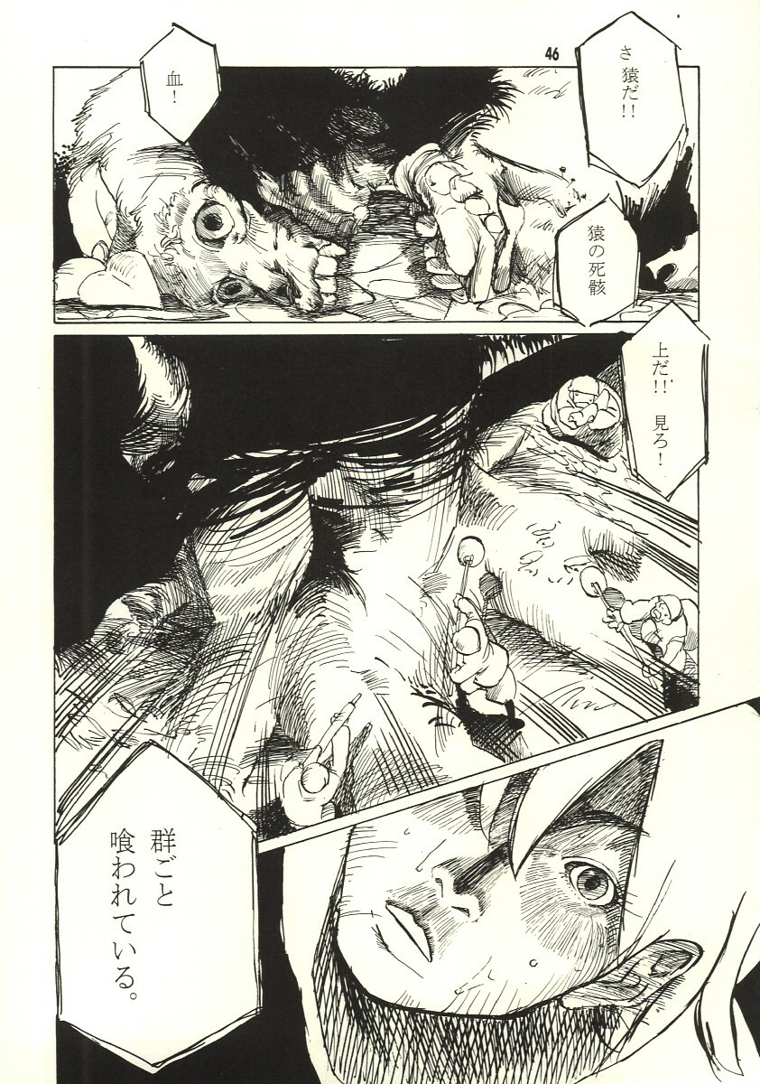 [Zettai Shoujo (RAITA)] Pure (Nausicaä of the Valley of the Wind) page 45 full