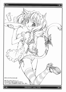 (SC28) [Oshaban (Sasahiro)] Nekomimi Opantsu Bon Shimashima Version - page 3