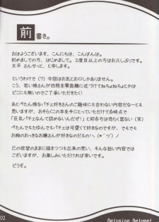(Akatsuki no Utage 2) [Mata Ashita. (Oohira Sunset)] Delusion Deluge! (Touhou Project) - page 3