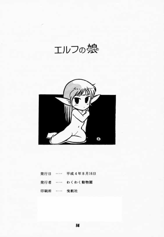 (C42) [Wakuwaku Doubutsuen (Various)] Elf no Muchume (Record of Lodoss War) page 85 full