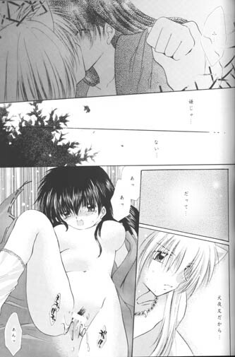 [Sakurakan (Seriou Sakura)] Hoshi No Kakera Kono Te Ni Hitotsu (Inuyasha) page 45 full