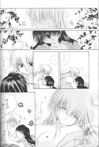 [Sakurakan (Seriou Sakura)] Hoshi No Kakera Kono Te Ni Hitotsu (Inuyasha) page 50 full