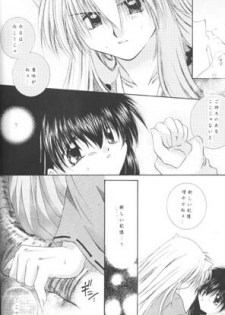 [Sakurakan (Seriou Sakura)] Hoshi No Kakera Kono Te Ni Hitotsu (Inuyasha) - page 30