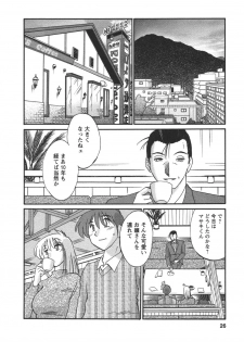 [TsuyaTsuya] Tatoeba Haha Ga 4 - page 29