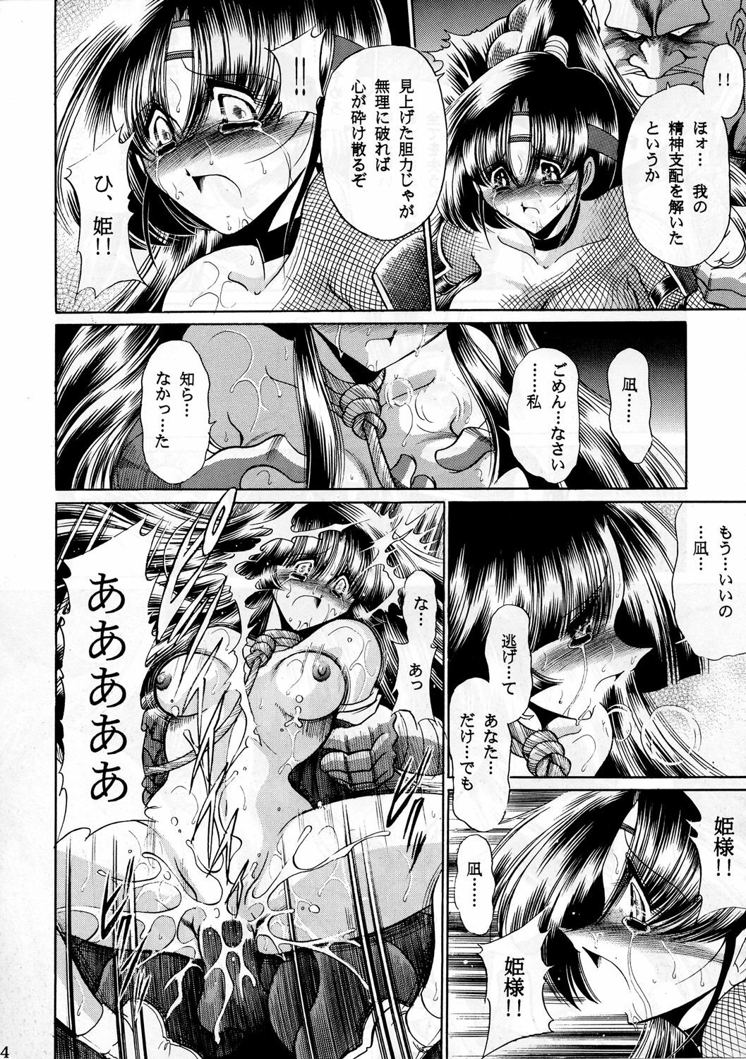 (C65) [Circle Taihei-Tengoku (Horikawa Gorou)] Beni Ninpouchou Chi no Kan page 53 full