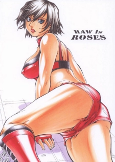 (C68) [Sangatsu no Lion (Don Shigeru)] RAW is ROSES (Rumble Roses) - page 1