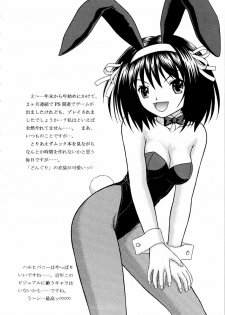 [D'ERLANGER (Yamazaki Show)] Revelation H Volume: 2 (Suzumiya Haruhi no Yuuutsu) - page 19