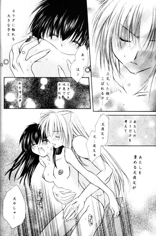 (C64) [Sakurakan (Seriou Sakura)] Koikaze Fukaba Akanezora (Inuyasha) page 33 full