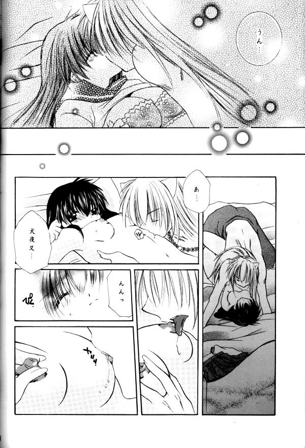 (C64) [Sakurakan (Seriou Sakura)] Koikaze Fukaba Akanezora (Inuyasha) page 66 full