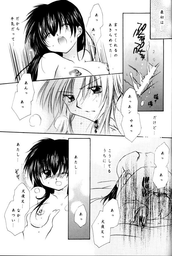 (C64) [Sakurakan (Seriou Sakura)] Koikaze Fukaba Akanezora (Inuyasha) page 69 full