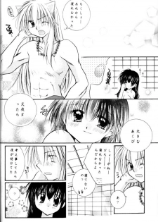 (C64) [Sakurakan (Seriou Sakura)] Koikaze Fukaba Akanezora (Inuyasha) - page 39