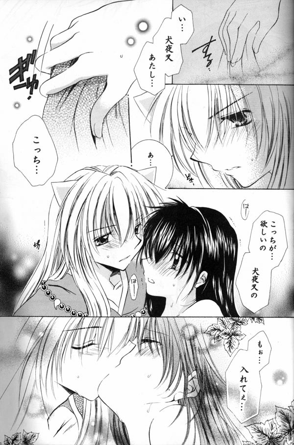 [Sakurakan (Seriou Sakura)] Mitsu Tsuki no Mahou (Inuyasha) page 14 full