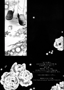 [Sakurakan (Seriou Sakura)] Mitsu Tsuki no Mahou (Inuyasha) - page 26
