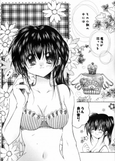 [Sakurakan (Seriou Sakura)] Mitsu Tsuki no Mahou (Inuyasha) - page 5