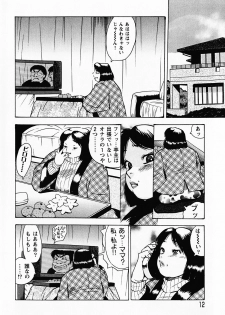 [Gunpan] Gunpan SPECIAL Shiiku Kyonyuu Boshi Soukan Shuu - page 13