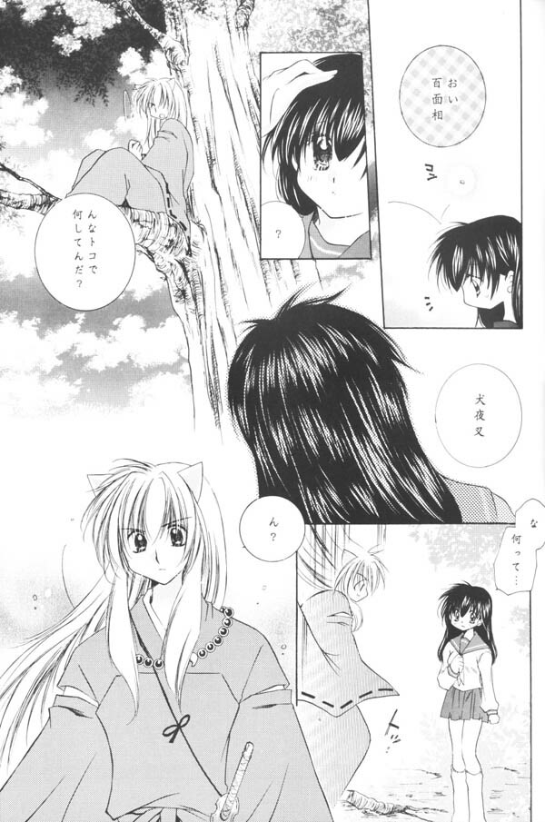 (C65) [Sakurakan (Seriou Sakura)] Yuuyami Ryuuseigun (Inuyasha) page 16 full