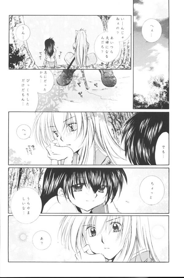 (C65) [Sakurakan (Seriou Sakura)] Yuuyami Ryuuseigun (Inuyasha) page 17 full