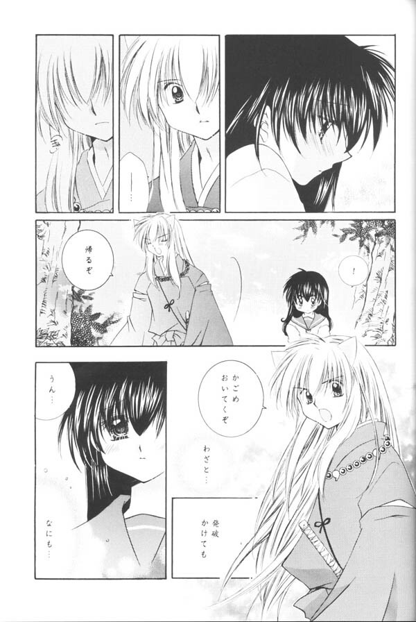 (C65) [Sakurakan (Seriou Sakura)] Yuuyami Ryuuseigun (Inuyasha) page 18 full