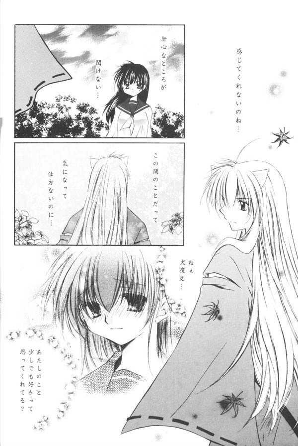 (C65) [Sakurakan (Seriou Sakura)] Yuuyami Ryuuseigun (Inuyasha) page 19 full