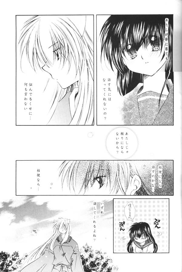 (C65) [Sakurakan (Seriou Sakura)] Yuuyami Ryuuseigun (Inuyasha) page 20 full