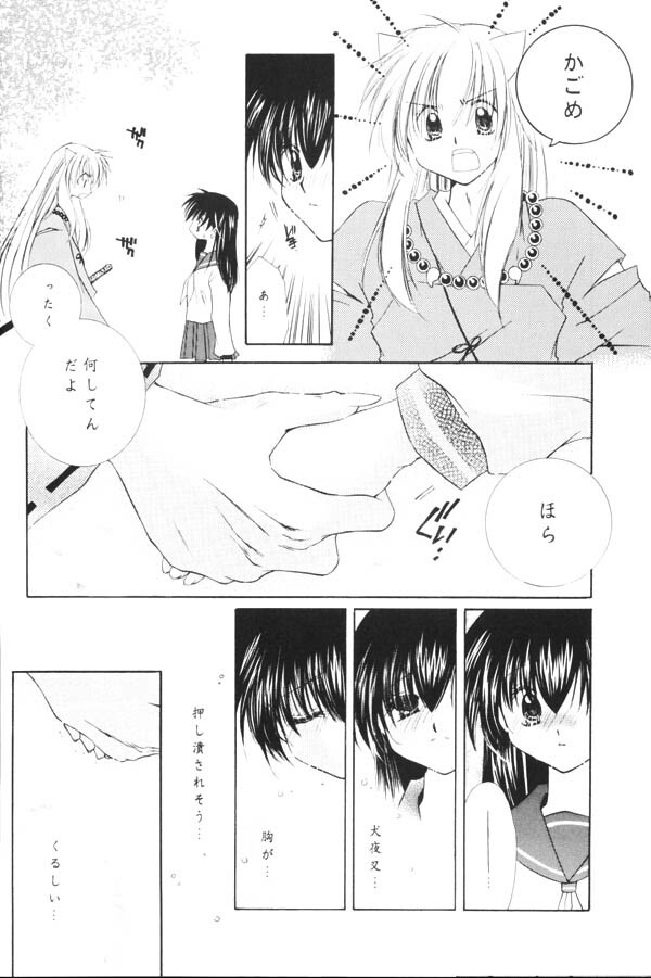 (C65) [Sakurakan (Seriou Sakura)] Yuuyami Ryuuseigun (Inuyasha) page 21 full