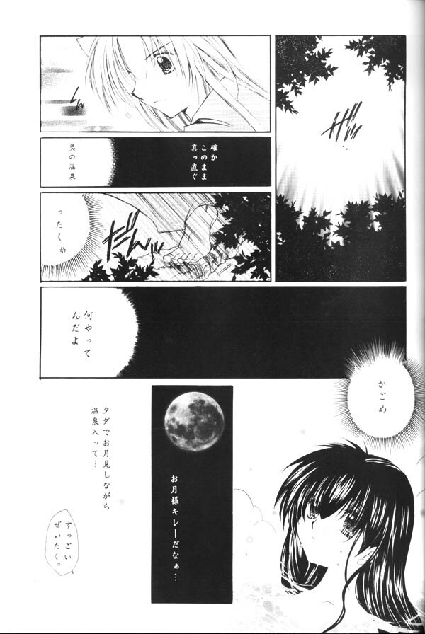 (C65) [Sakurakan (Seriou Sakura)] Yuuyami Ryuuseigun (Inuyasha) page 24 full