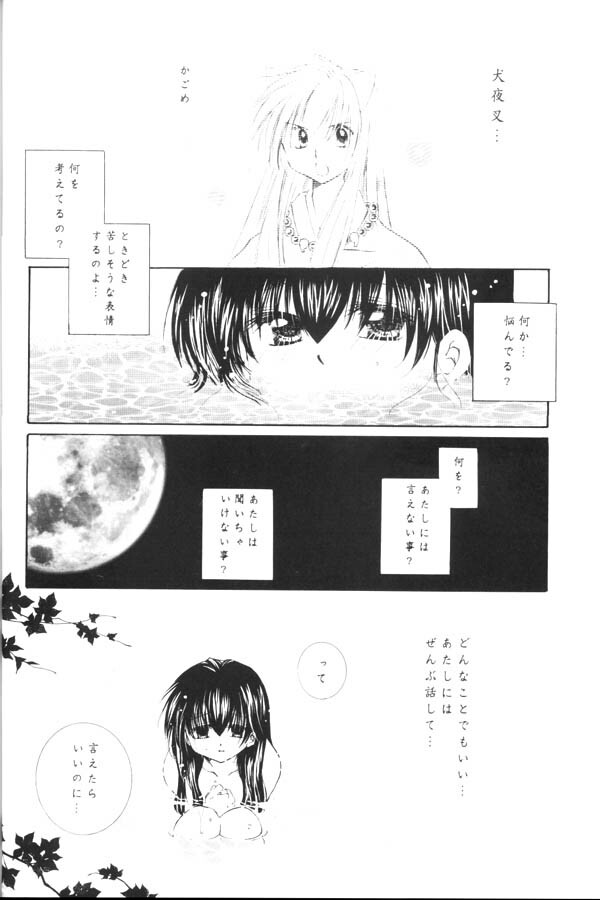 (C65) [Sakurakan (Seriou Sakura)] Yuuyami Ryuuseigun (Inuyasha) page 25 full