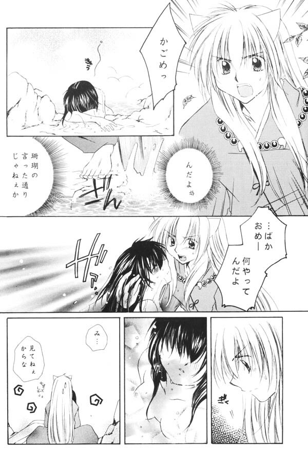 (C65) [Sakurakan (Seriou Sakura)] Yuuyami Ryuuseigun (Inuyasha) page 27 full