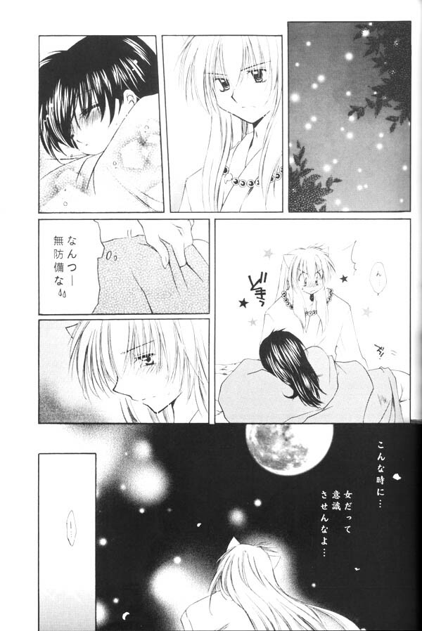 (C65) [Sakurakan (Seriou Sakura)] Yuuyami Ryuuseigun (Inuyasha) page 28 full