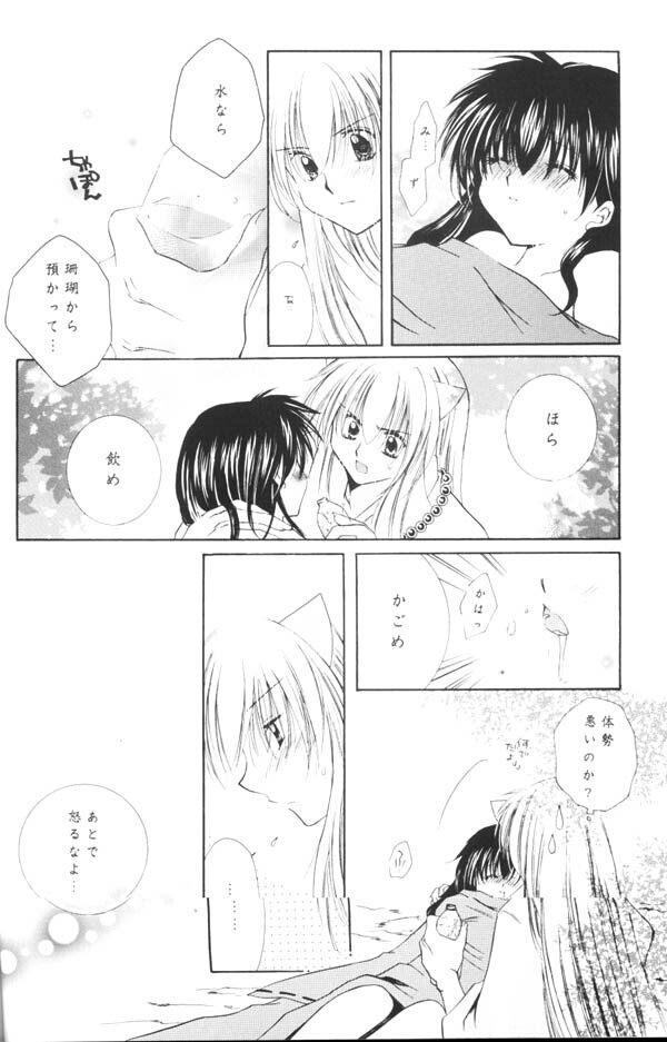 (C65) [Sakurakan (Seriou Sakura)] Yuuyami Ryuuseigun (Inuyasha) page 29 full