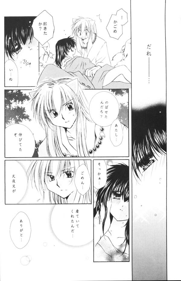 (C65) [Sakurakan (Seriou Sakura)] Yuuyami Ryuuseigun (Inuyasha) page 31 full