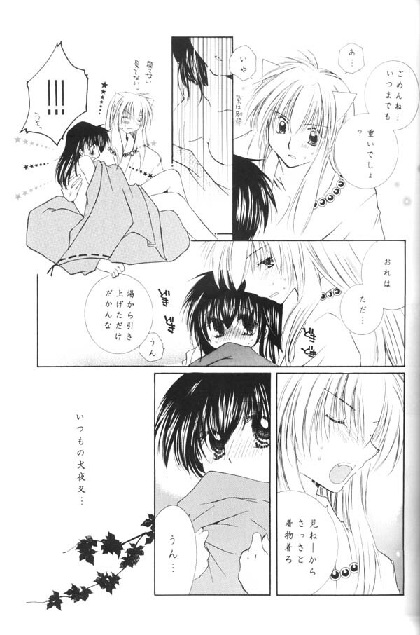 (C65) [Sakurakan (Seriou Sakura)] Yuuyami Ryuuseigun (Inuyasha) page 32 full