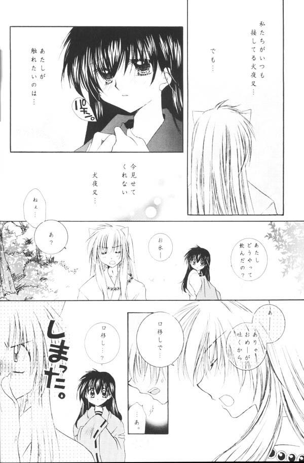 (C65) [Sakurakan (Seriou Sakura)] Yuuyami Ryuuseigun (Inuyasha) page 33 full