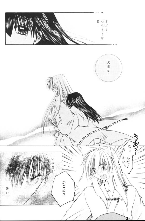 (C65) [Sakurakan (Seriou Sakura)] Yuuyami Ryuuseigun (Inuyasha) page 39 full