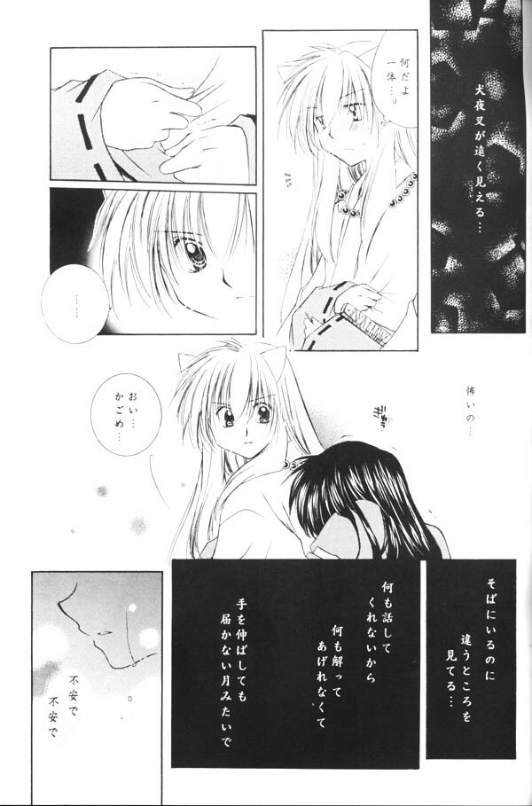 (C65) [Sakurakan (Seriou Sakura)] Yuuyami Ryuuseigun (Inuyasha) page 40 full