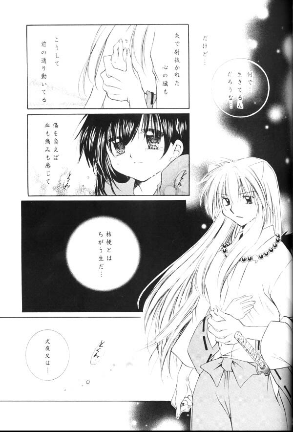 (C65) [Sakurakan (Seriou Sakura)] Yuuyami Ryuuseigun (Inuyasha) page 44 full