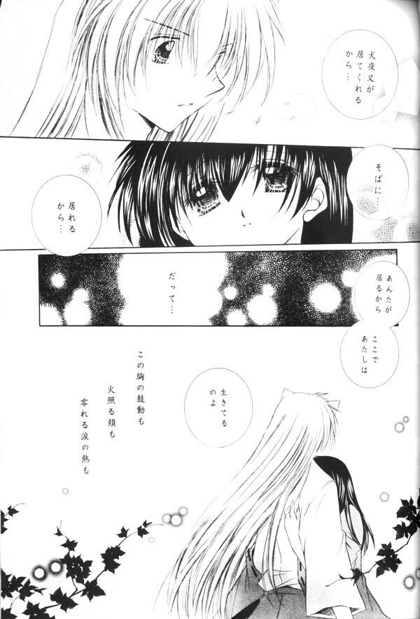 (C65) [Sakurakan (Seriou Sakura)] Yuuyami Ryuuseigun (Inuyasha) page 46 full