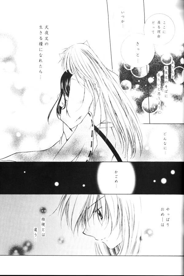 (C65) [Sakurakan (Seriou Sakura)] Yuuyami Ryuuseigun (Inuyasha) page 48 full