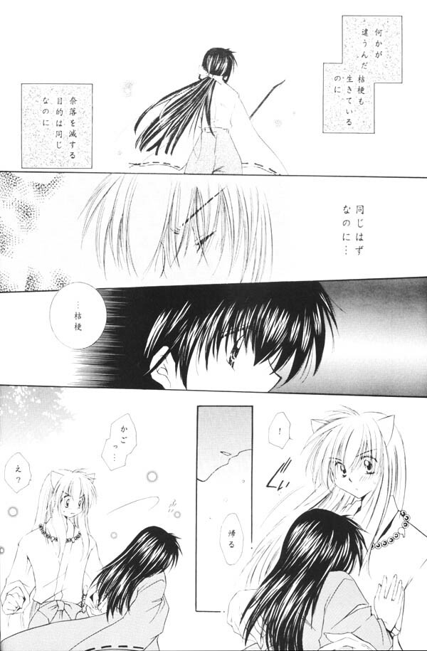 (C65) [Sakurakan (Seriou Sakura)] Yuuyami Ryuuseigun (Inuyasha) page 49 full