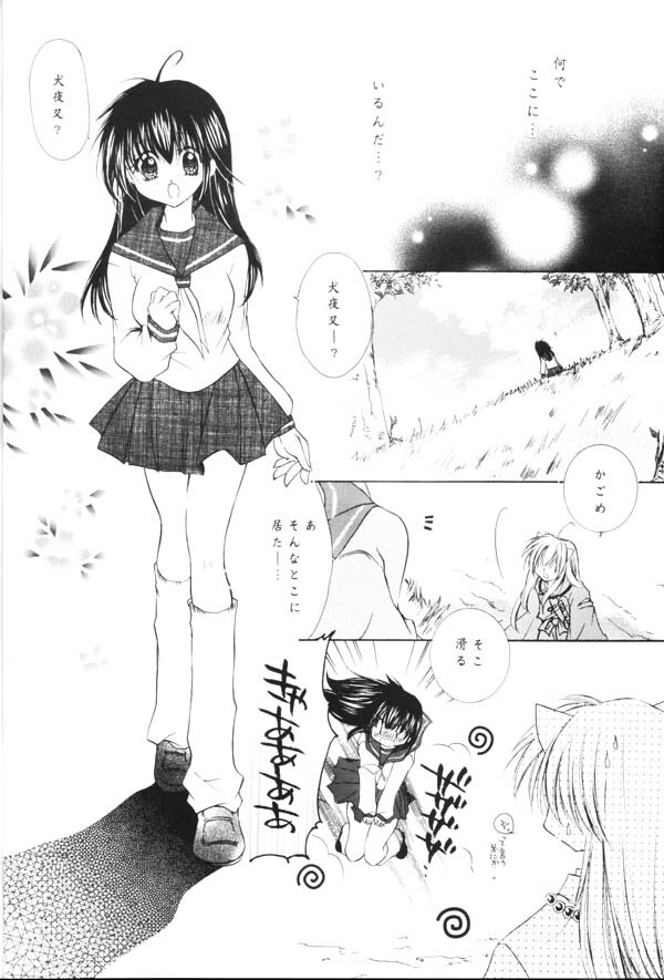 (C65) [Sakurakan (Seriou Sakura)] Yuuyami Ryuuseigun (Inuyasha) page 5 full