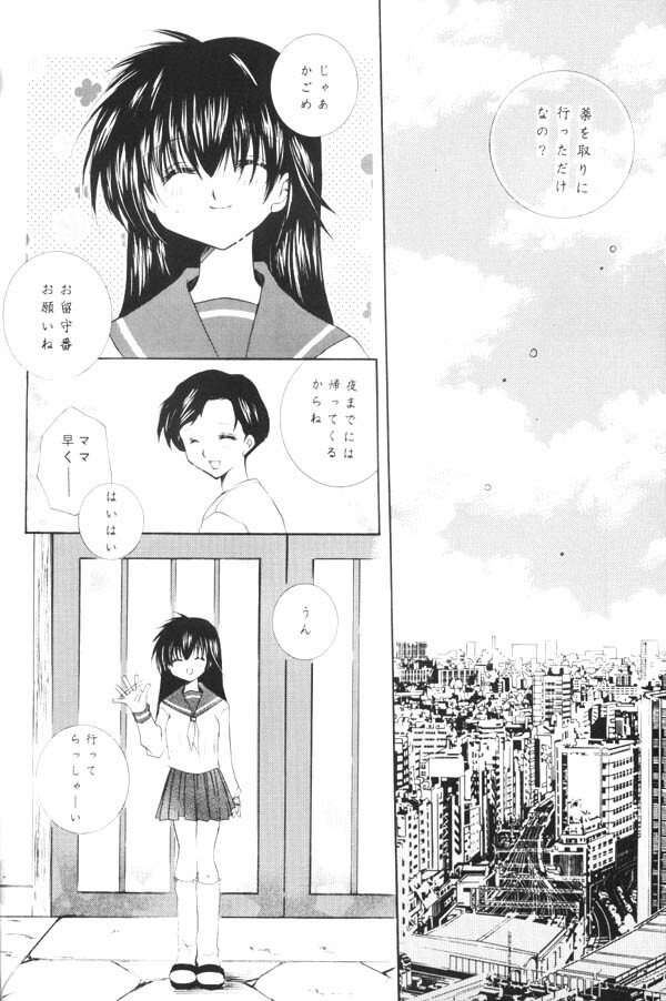 (C65) [Sakurakan (Seriou Sakura)] Yuuyami Ryuuseigun (Inuyasha) page 53 full