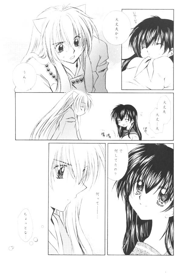 (C65) [Sakurakan (Seriou Sakura)] Yuuyami Ryuuseigun (Inuyasha) page 6 full